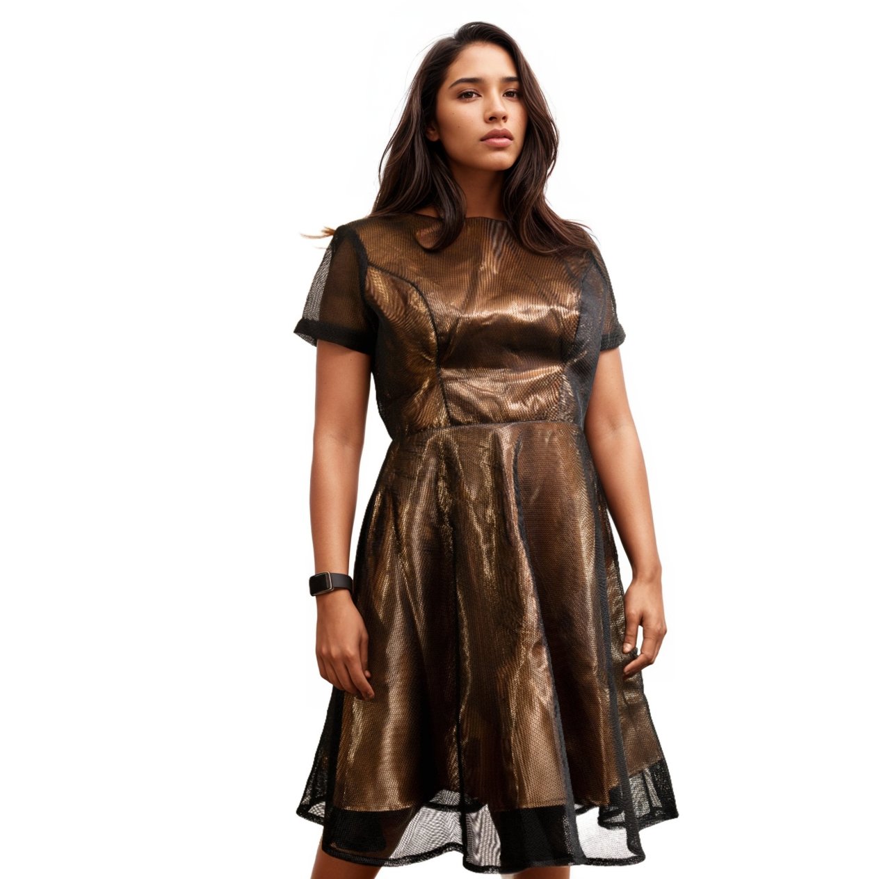 Black Mesh Flare Dress - House of Prints